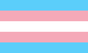 Transgender Masih Mengalami Banyak Masalah Dalam Aturan